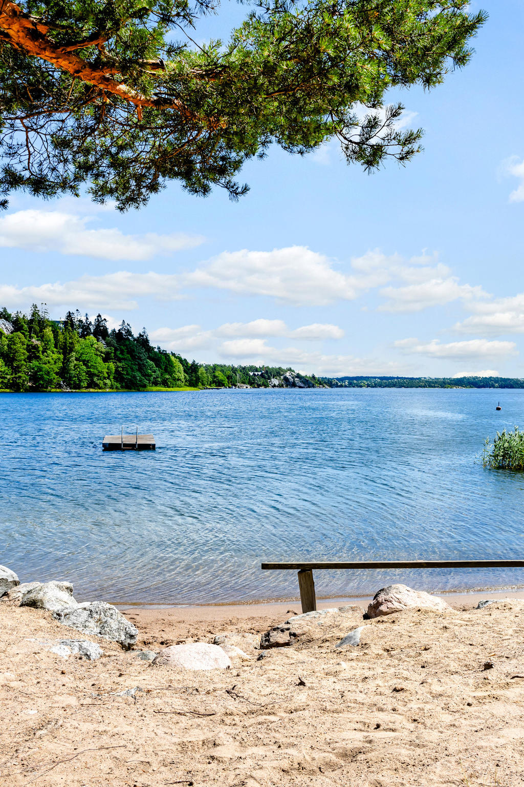 Baggensvikens tomtägarförening gemensam badplats