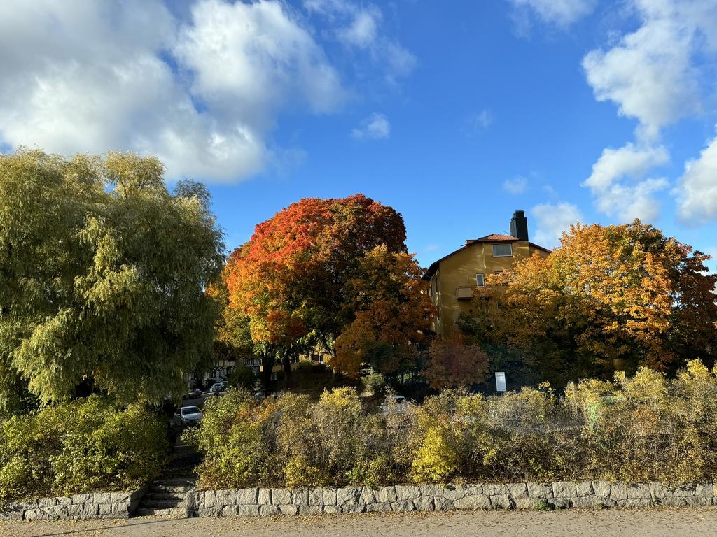 Utsikt från vardagsrummet en dag i oktober. På försommaren blommar syrenhäcken. (säljarens bild)