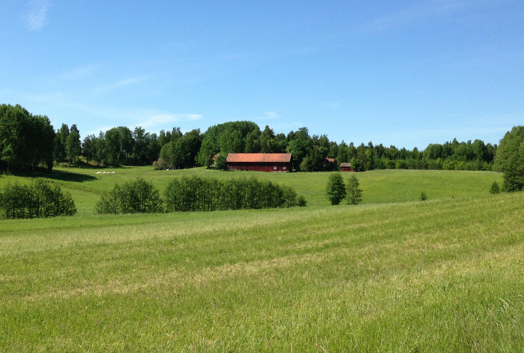 Mellangården på avstånd, på väg dit