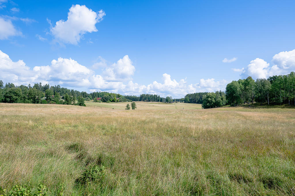 Utblick från logen