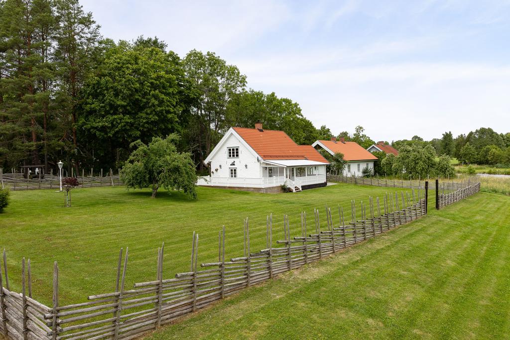 Trädgård