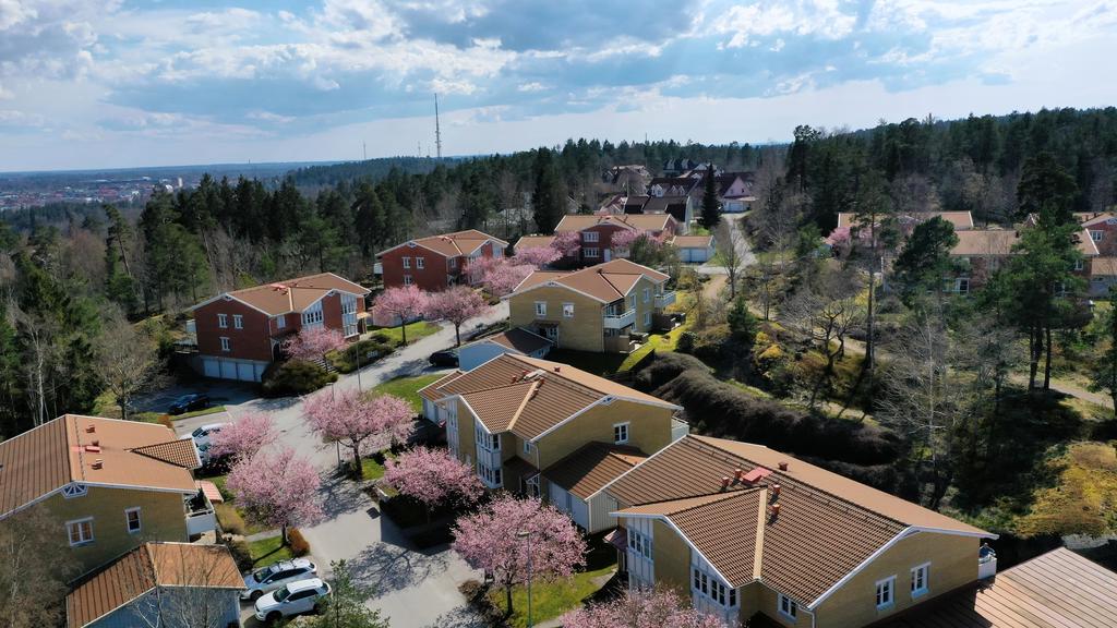 På våren står hela Brf Solgården i Körsbärsblom (säljarens bild)