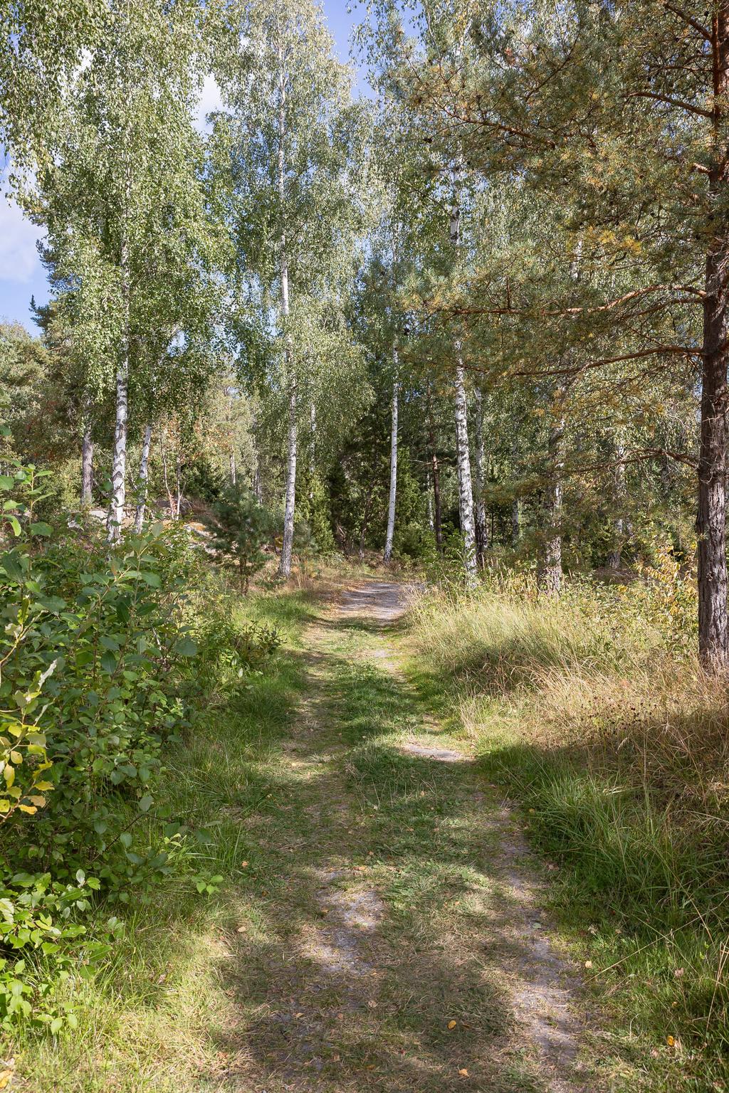 Gångstig till badplats