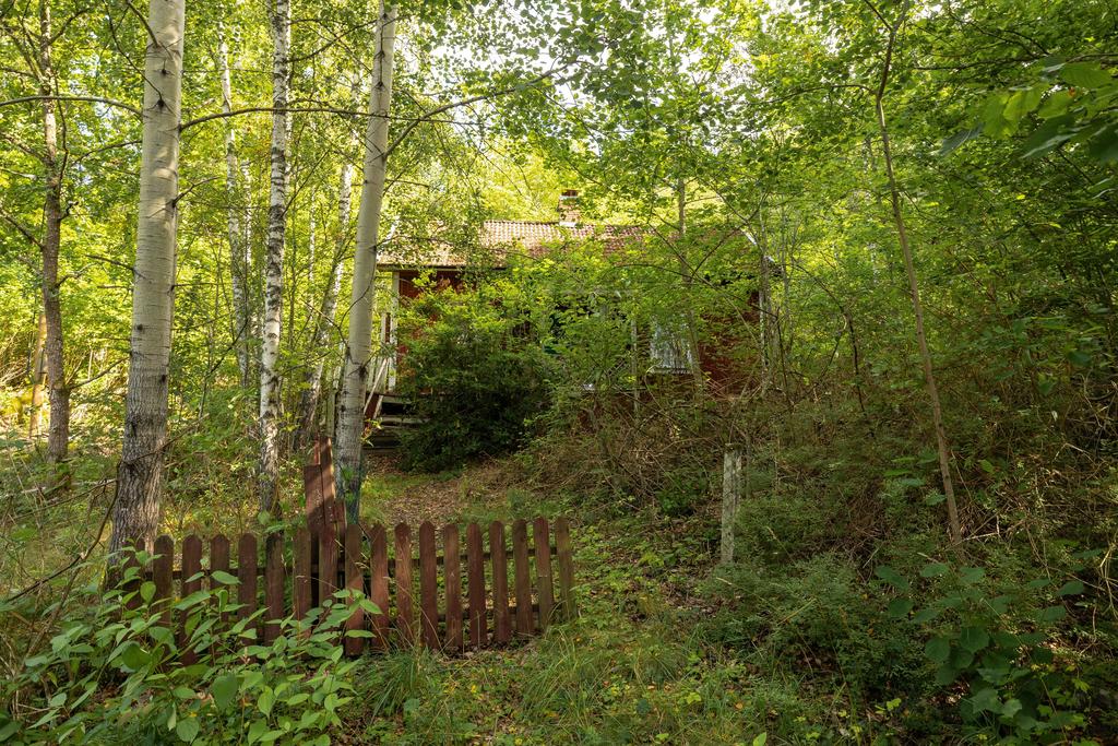 Enskilt, insynsskyddat läge med skog och natur som omgärdar huset