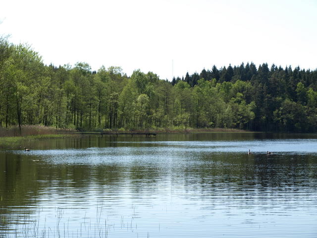 Hultasjön och dess fina omgivning