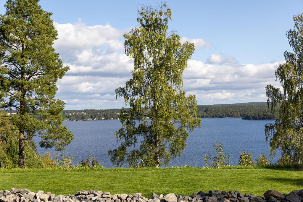 Utsikt från relax/bastu