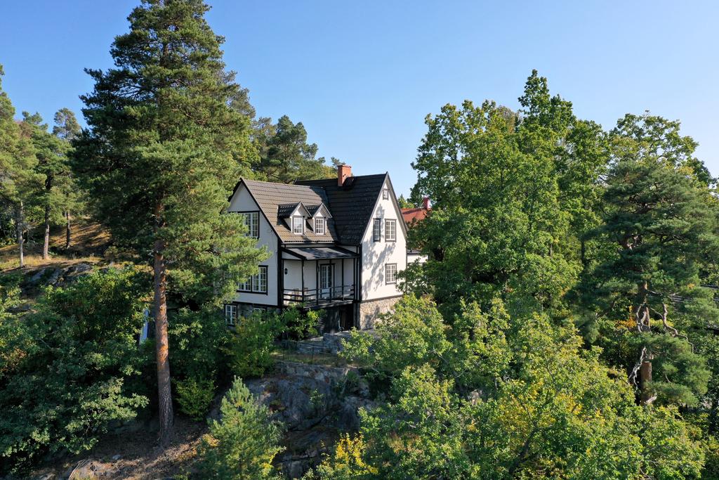 Huset uppe bland trätopparna