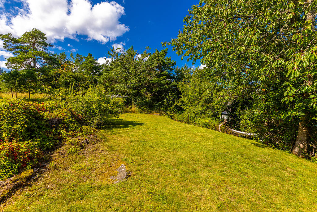 Trädgården