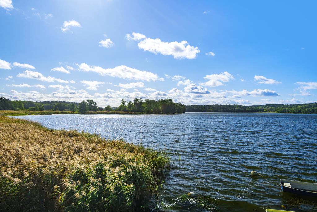 Edssjön är en vacker sjö som har ett rikt fågelliv. Edssjön är även en bra fiskesjö med fiskar som gädda, abborre, gös, braxen, mört, löja, id, sutare, ål, signalkräfta och asp.