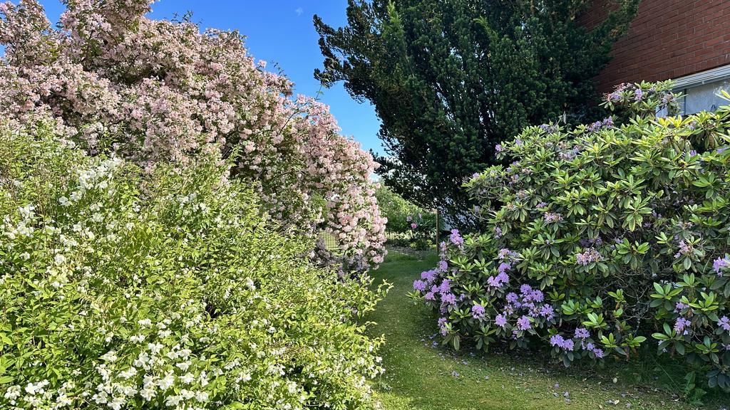 Säljarnas egna sommarbild. 