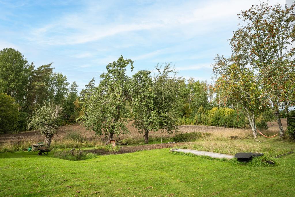 Fruktträd, trädgårdsland och utsikt över åkerlandskap.