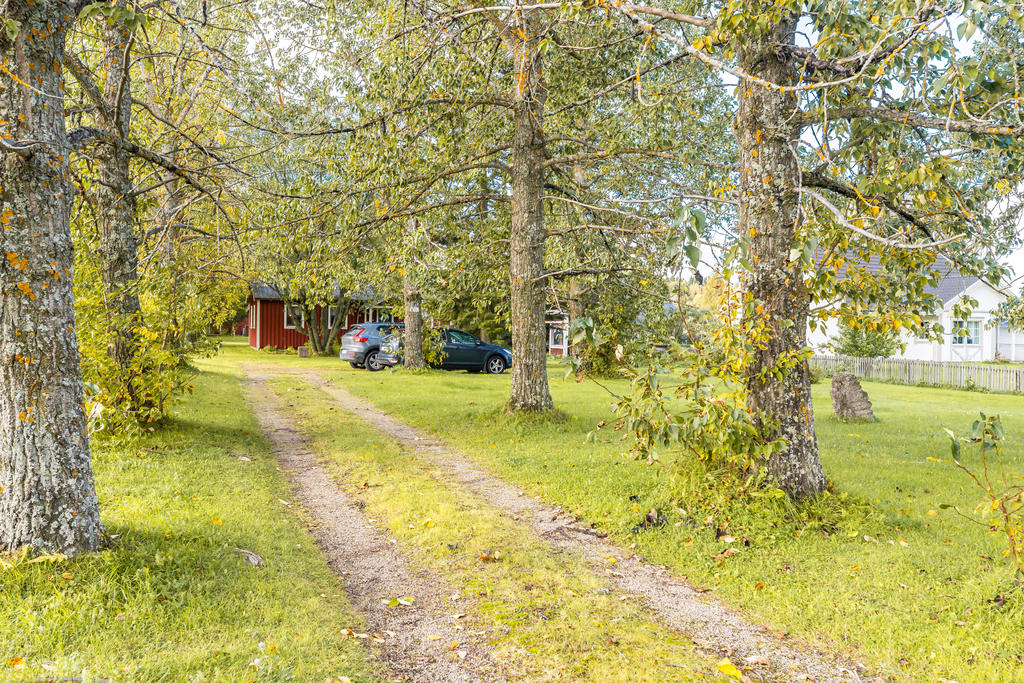 Vacker allé in till huset. 