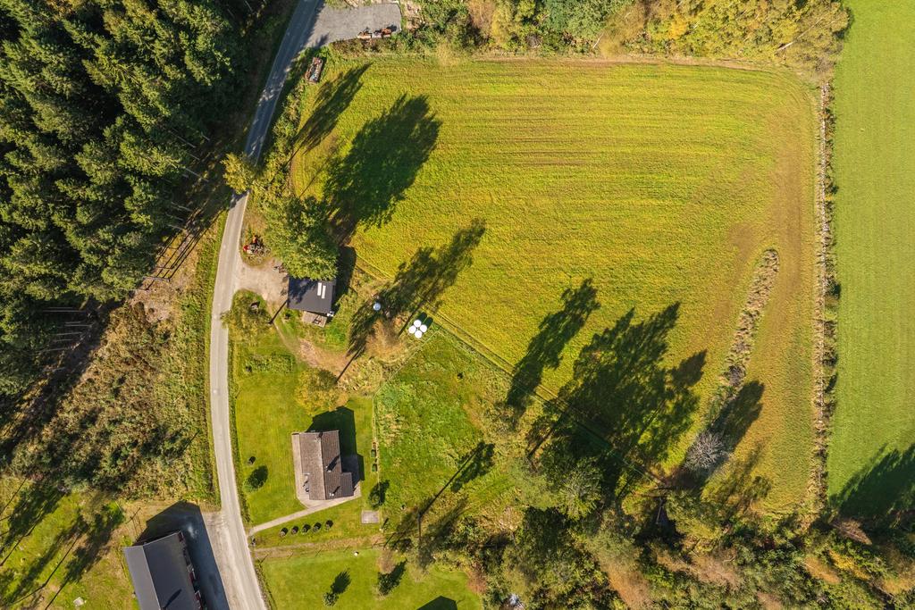 Hage på baksidan av huset