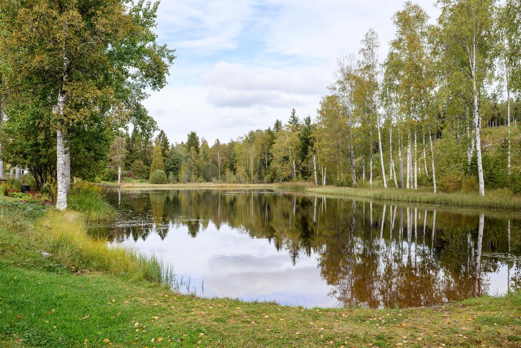 Närliggande badplats i Hoovers-dammen