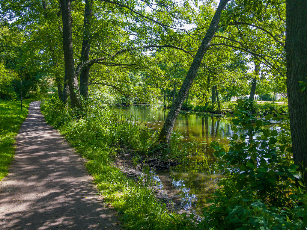 Omgivningarna bjuder in till sköna promenader i rogivande miljö