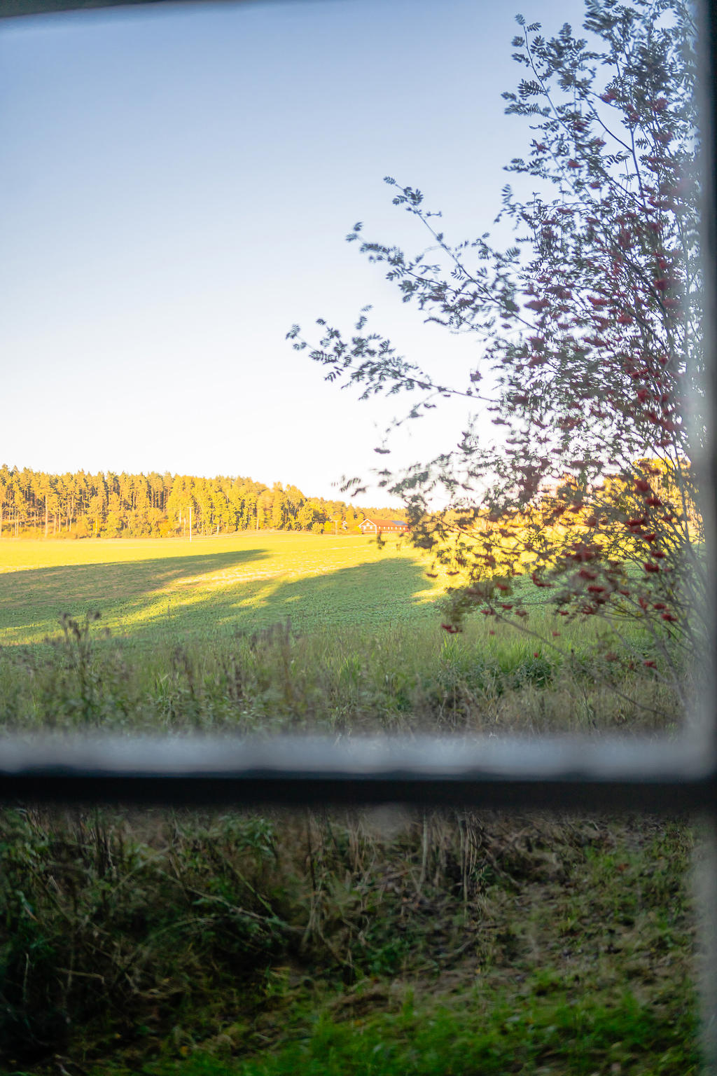 Utsikt från köksfönstret