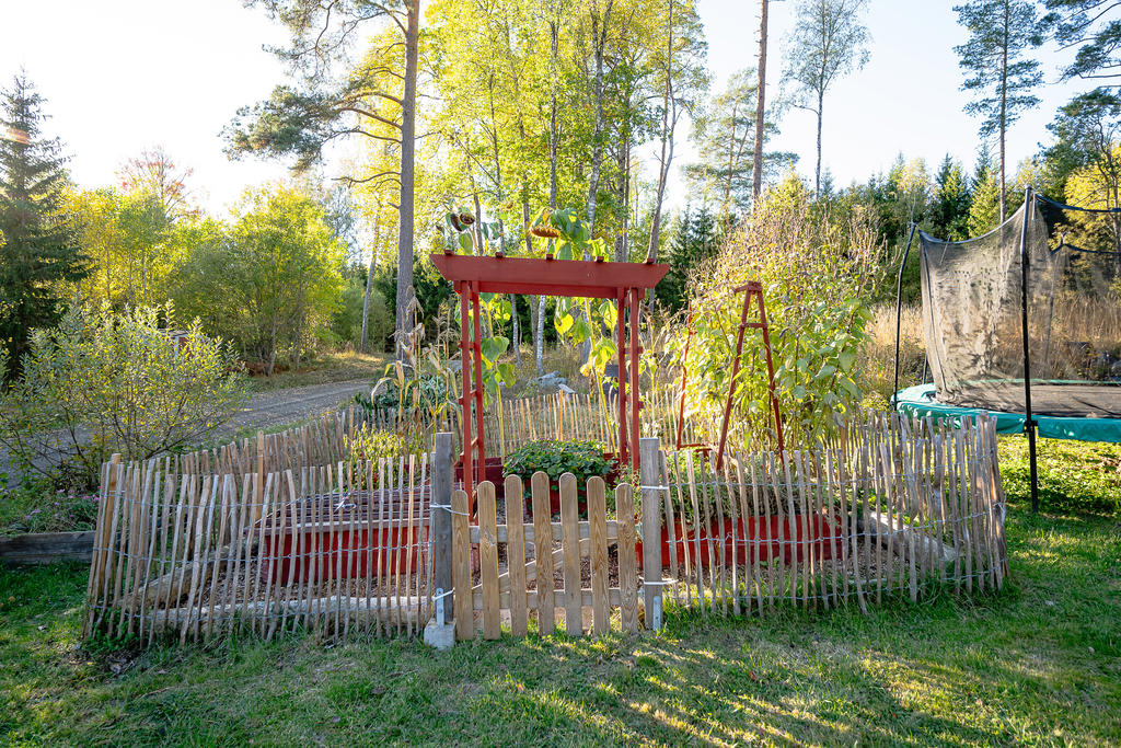 Köksträdgård för dig som vill odla för hemmabruk