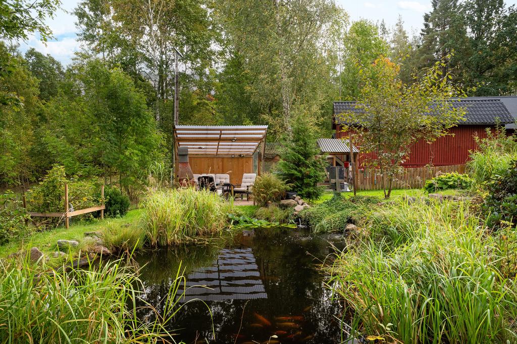 Damm med fiskar året om. Pergola under tak