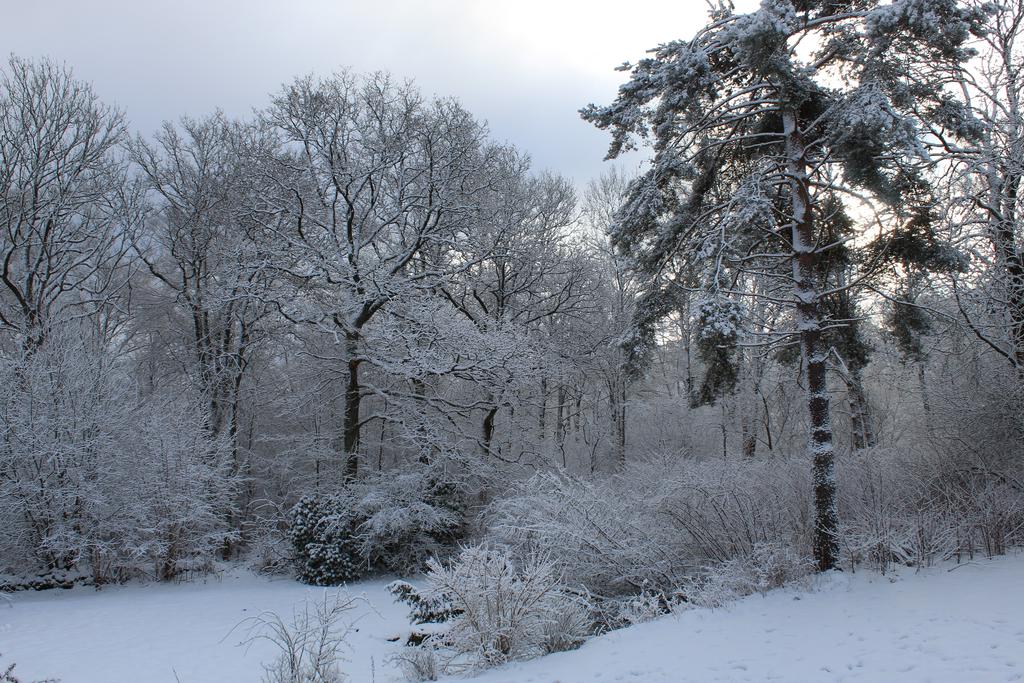 Säljarens vinterbild