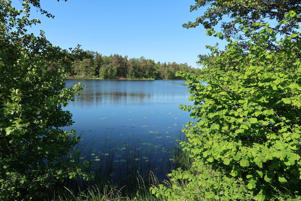 Säljarens egna bild, områdesbild