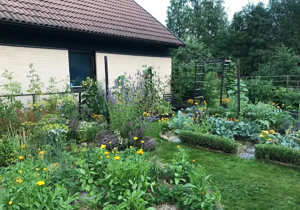 Frukt, bär och blomster, här finns det mesta i denna fantastiska trädgård, bild tagen av säljare.