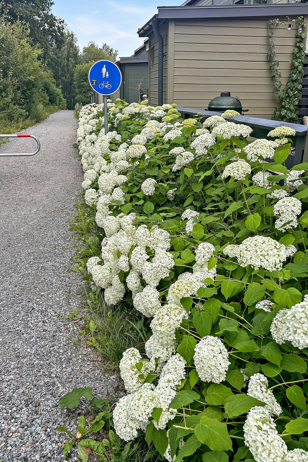 Gångstigen ner till badet och strandpromenaden till centrum