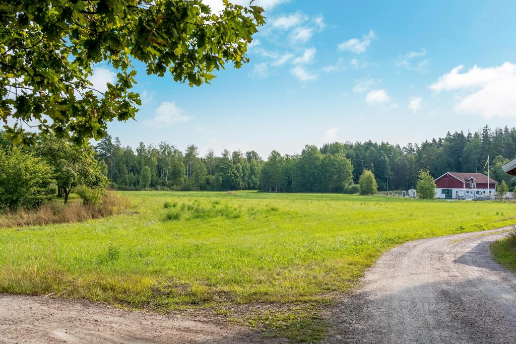 Utsikten från torpets baksida