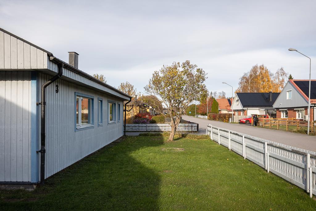 Trädgård på husets framsida