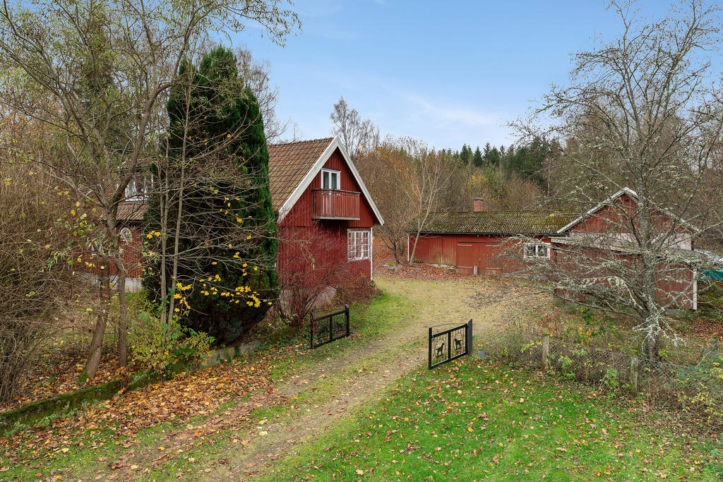 Lantligt läge med skogen inpå husknuten