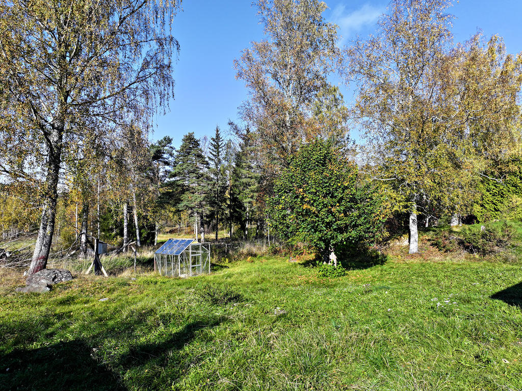 Trädgård