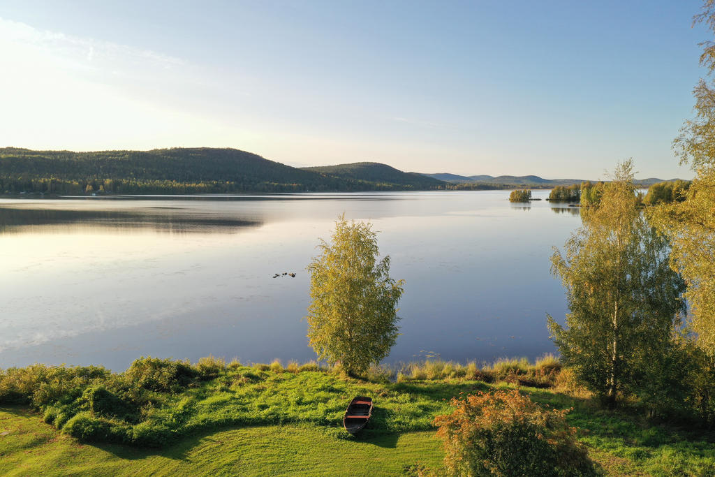 Utsikt från tomten