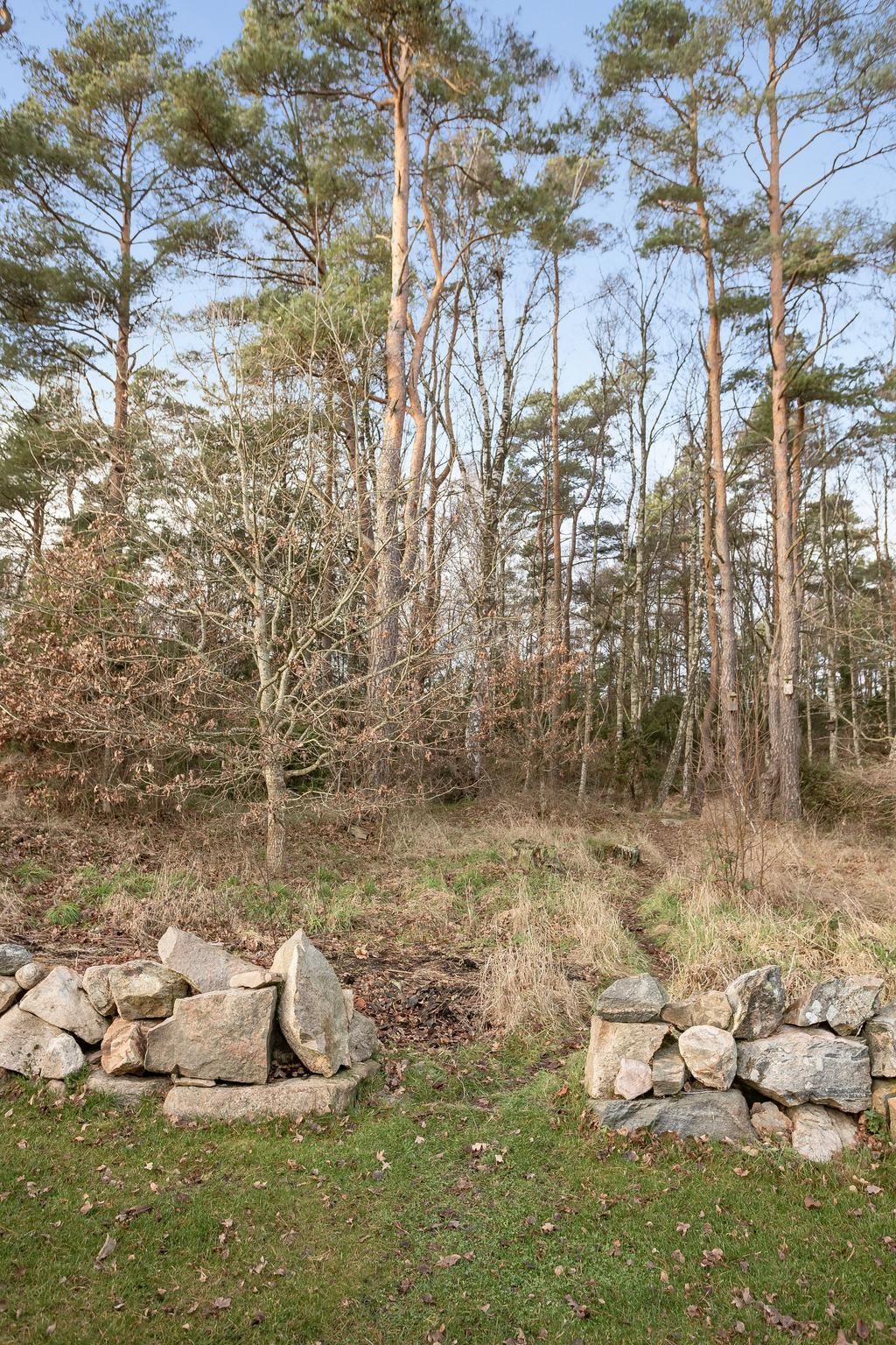 Naturen runt omkring bjuder på fantastiskt djurliv – älgar, rådjur, ekorrar, ugglor, rovfåglar och fasaner är vanliga gäster.