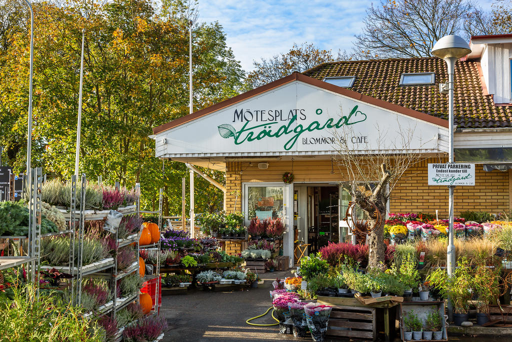 Mötesplatsen- blommor och café