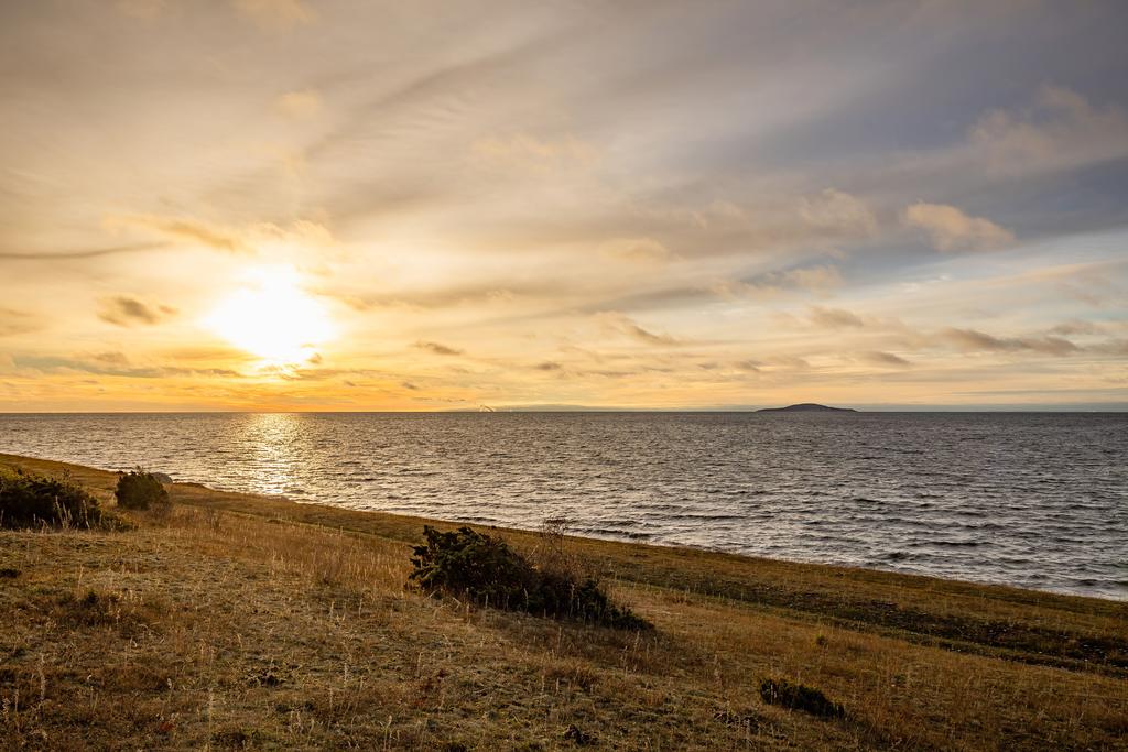 Upplagt för Magiska kvällar