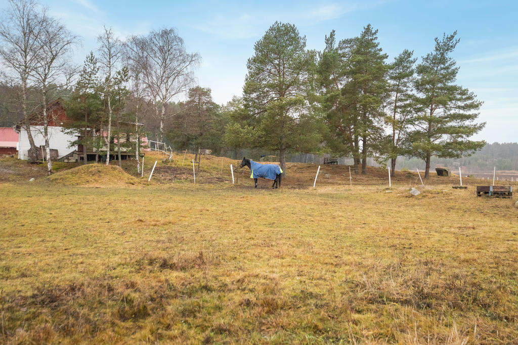 Utsikt mot grannen över vägen