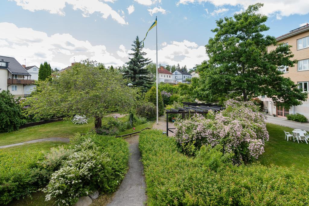 Sommarbild av innergårdens grönska