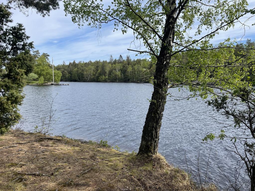 Den närmaste sjön. Många tar sig också till en större badplats i närheten med strand