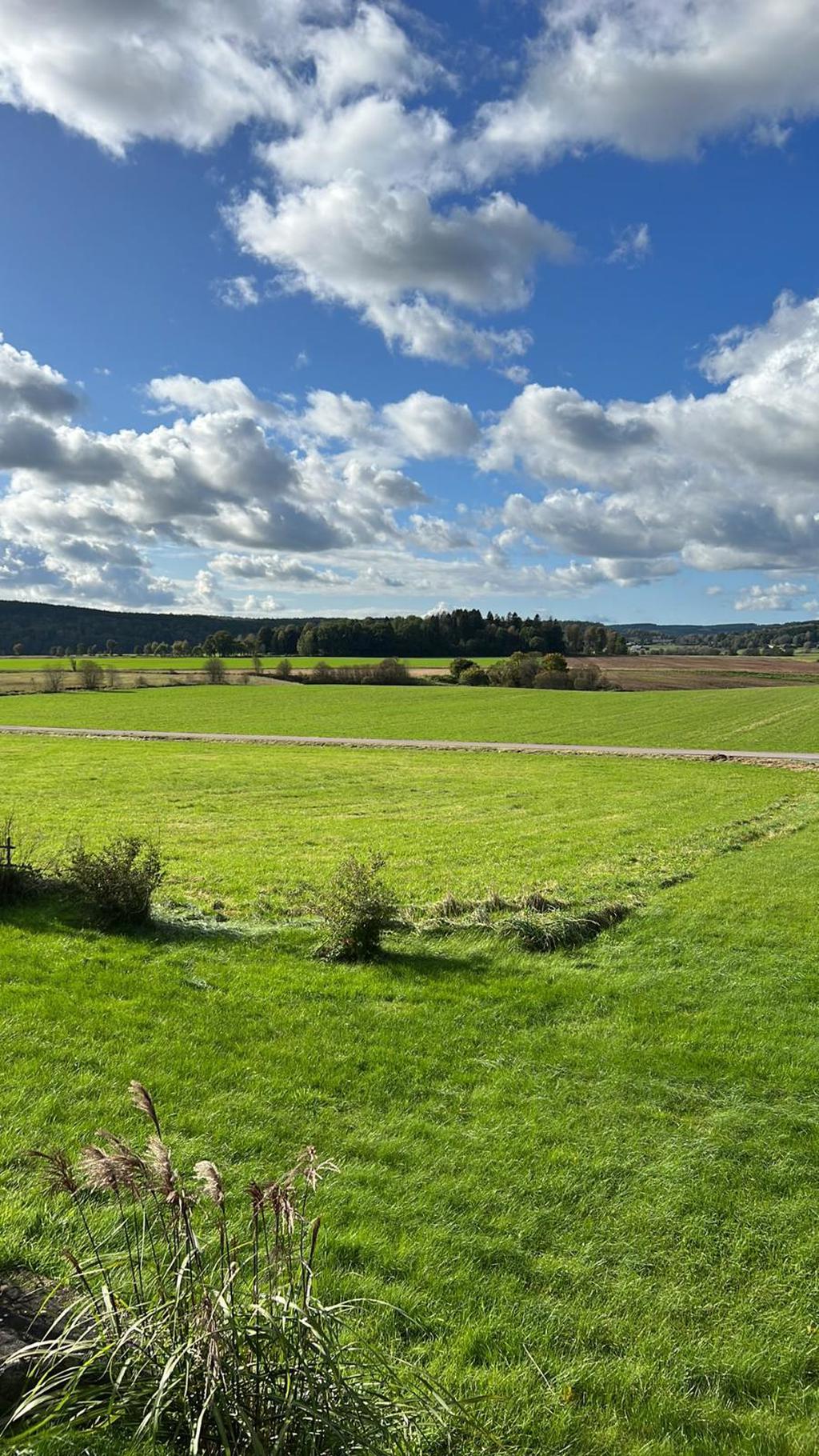 Sommarkort , utsikt från altanen.